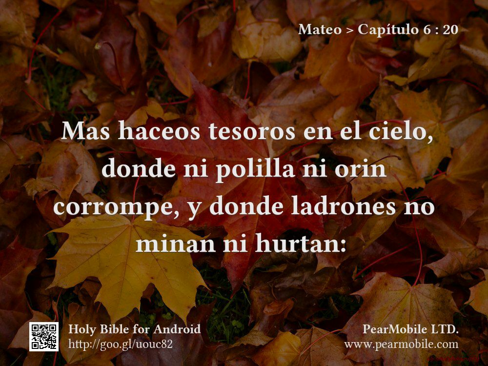 Mateo, Capítulo 6:20